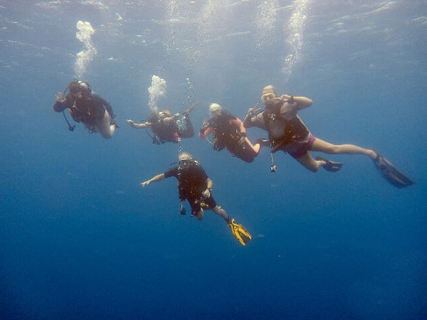 Swinger Scuba Trips